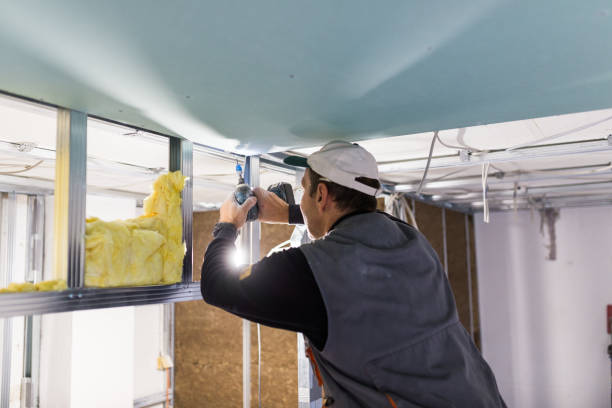 Best Spray Foam Insulation  in Absecon Highlands, NJ