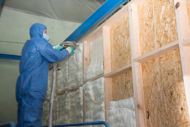 Best Blown-in Insulation  in Absecon Highlands, NJ